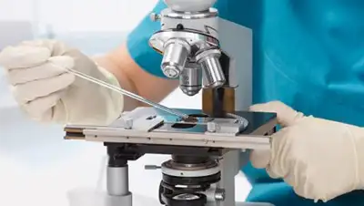 Zakon.kz, фото - Новости Zakon.kz от 06.04.2017 14:05