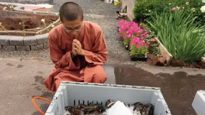 Zakon.kz, фото - Новости Zakon.kz от 11.07.2016 22:02