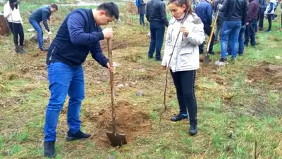 Zakon.kz, фото - Новости Zakon.kz от 03.04.2016 01:01