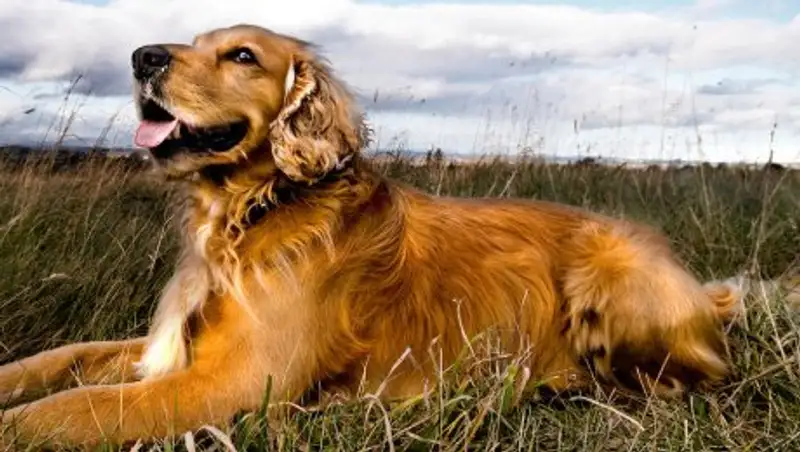 Погода без осадков ожидается в воскресенье в Казахстане