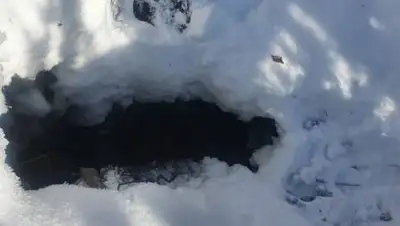 УЗЭ Алматы, фото - Новости Zakon.kz от 26.02.2021 21:16