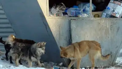 Zakon.kz, фото - Новости Zakon.kz от 13.03.2017 20:08