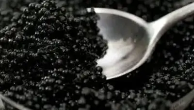 Zakon.kz, фото - Новости Zakon.kz от 07.10.2016 07:44