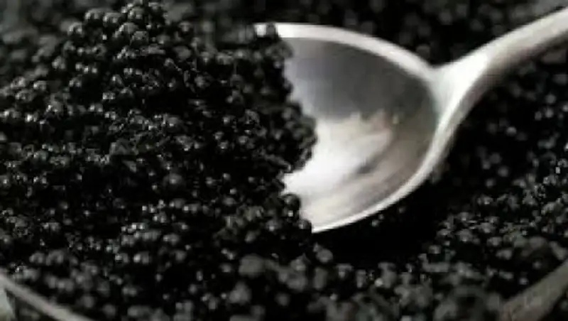 Казахстанские рыбзаводы со следующего года начнут поставки черной икры в Европу  
