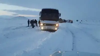 Zakon.kz, фото - Новости Zakon.kz от 02.02.2016 17:08