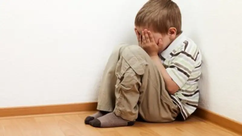 Депутаты обеспокоились безопасностью детей