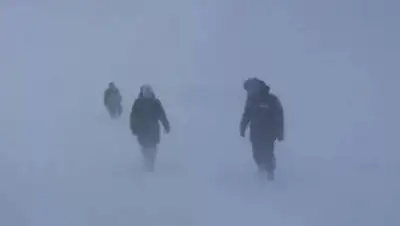 pavon.kz, фото - Новости Zakon.kz от 27.02.2021 07:21