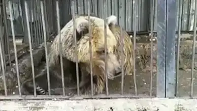 @tolik.hairutdinov, фото - Новости Zakon.kz от 10.06.2019 16:19