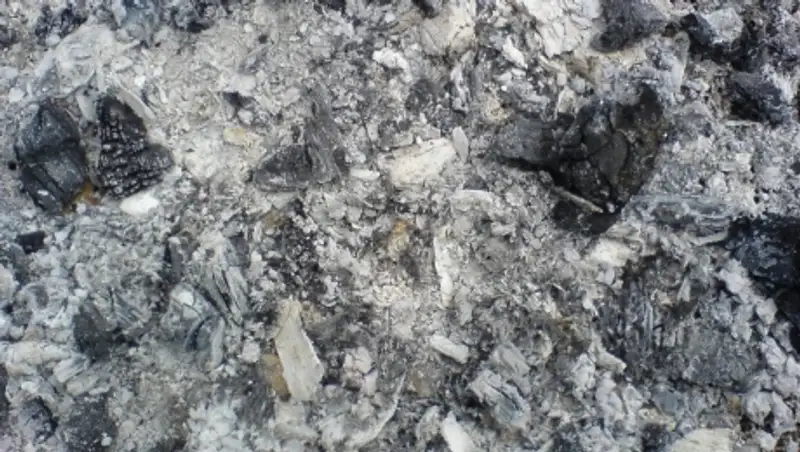 В Астане жителей частного сектора штрафуют за вынос золы и угля на проезжую часть