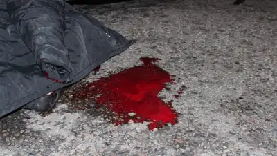 Zakon.kz, фото - Новости Zakon.kz от 27.01.2015 17:43