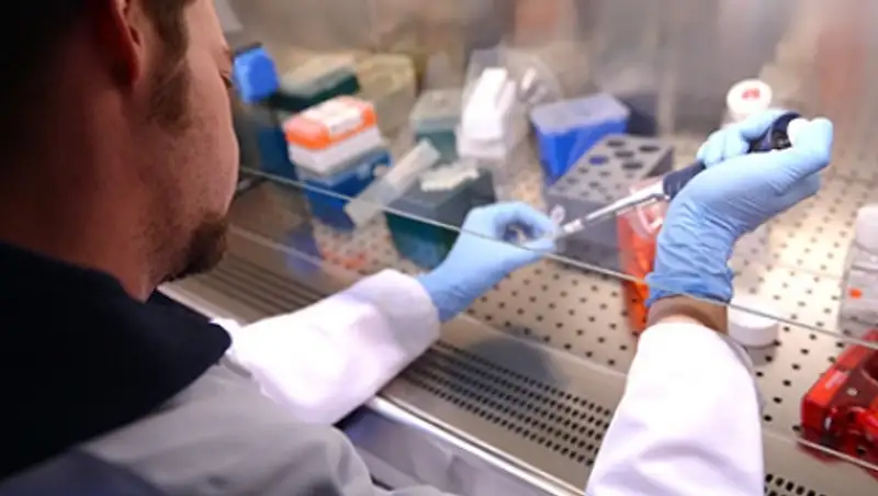 Витамин С оказался способным побеждать неизлечимые формы рака