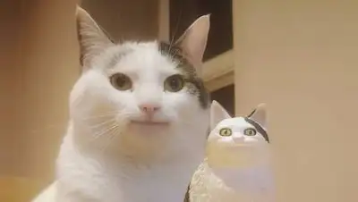 adme.ru, фото - Новости Zakon.kz от 28.09.2020 10:14