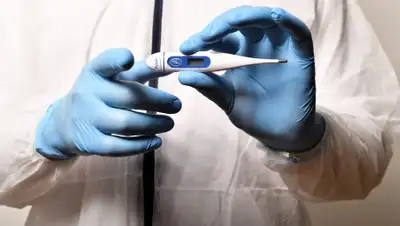 cursorinfo.co.il, фото - Новости Zakon.kz от 19.02.2020 14:54