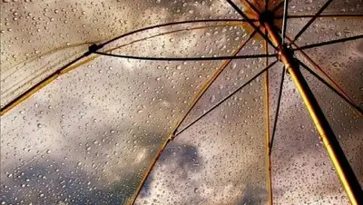 Zakon.kz, фото - Новости Zakon.kz от 07.08.2017 21:20