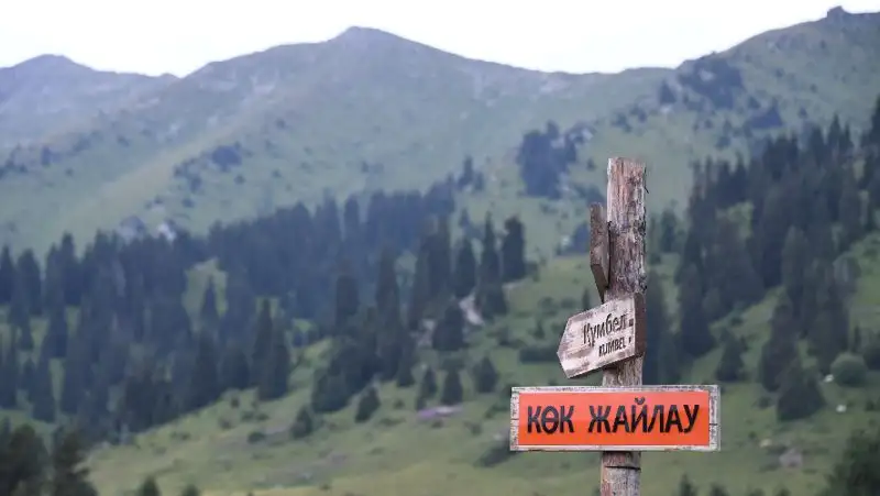 Сколько иностранных туристов посетили Казахстан