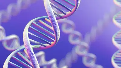 thequestion.ru, фото - Новости Zakon.kz от 01.11.2019 23:40