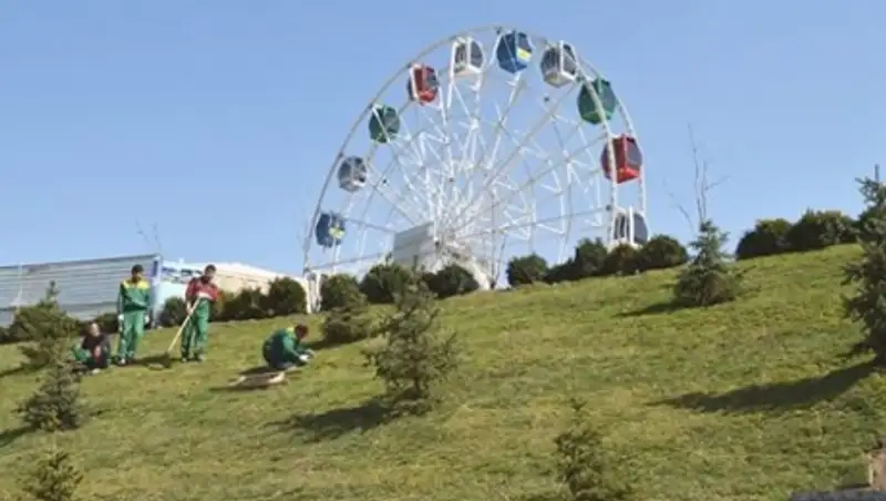 Снос деревьев на Кок-Тобе был необходим - управление природных ресурсов Алматы