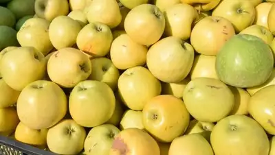 Zakon.kz, фото - Новости Zakon.kz от 20.10.2017 19:23