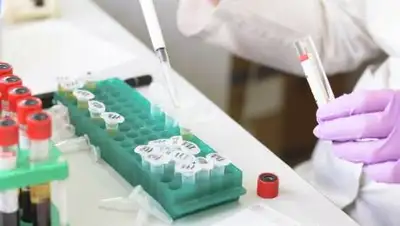 zakon.kz, фото - Новости Zakon.kz от 12.08.2021 08:25