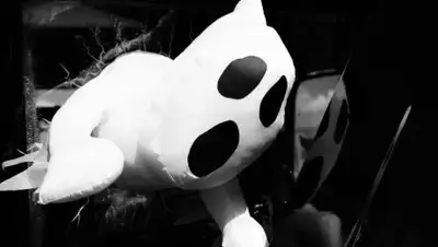 pxhere.com, фото - Новости Zakon.kz от 21.10.2019 17:11