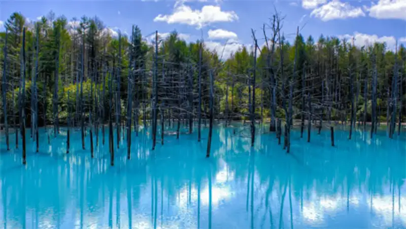 Без фотошопа