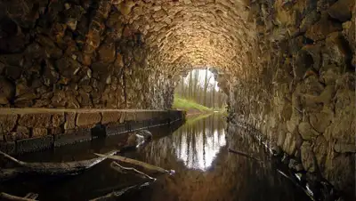 pixabay.com, фото - Новости Zakon.kz от 22.07.2019 22:43