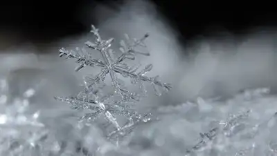 РИА Новости, фото - Новости Zakon.kz от 01.11.2018 09:30