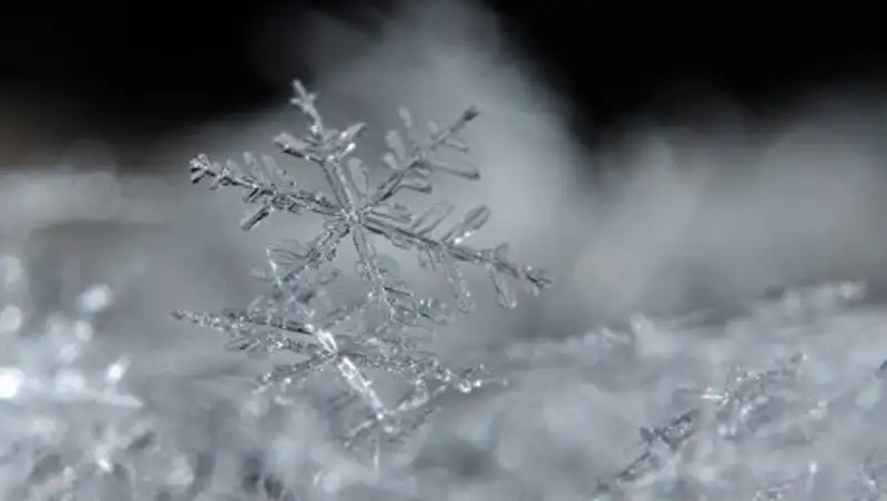 Порывистый ветер, туман, гололед, метель. Первый день ноября в Казахстане