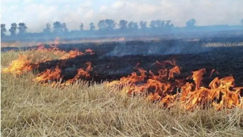 В Наурзумском районе, недалеко от поселка Акбулак, загорелась сухая трава