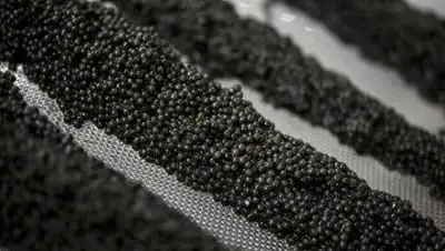 Zakon.kz, фото - Новости Zakon.kz от 03.10.2017 16:58