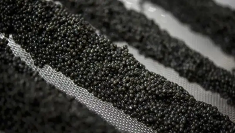 Машиной и двумя миллионами тенге поплатились в Атырау французы, купившие 4 кг икры