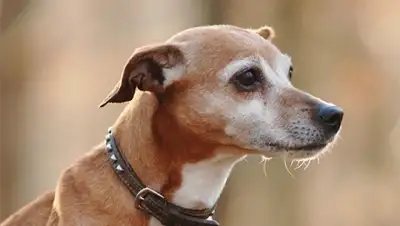 Zakon.kz, фото - Новости Zakon.kz от 03.12.2014 16:15