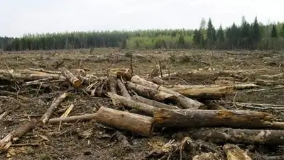 Zakon.kz, фото - Новости Zakon.kz от 03.09.2014 15:03