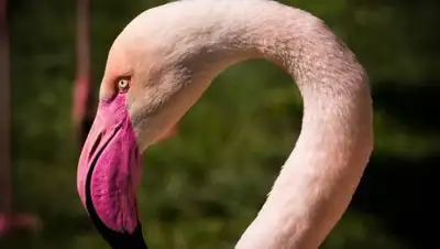 pxhere.com, фото - Новости Zakon.kz от 07.05.2021 16:55