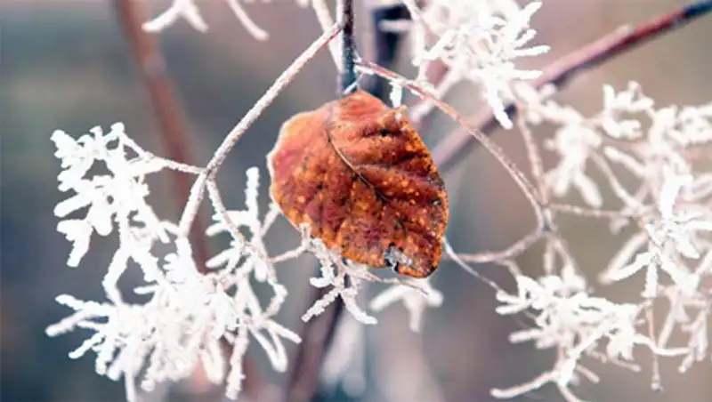 Похолодание и осадки ожидаются в Казахстане