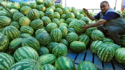 Zakon.kz, фото - Новости Zakon.kz от 30.06.2016 15:00