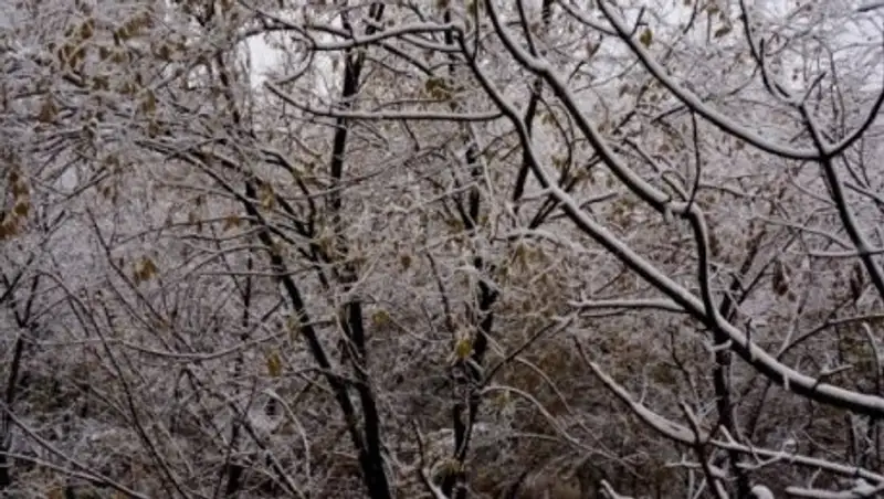 Погода без осадков сохранится в РК в последний день осени