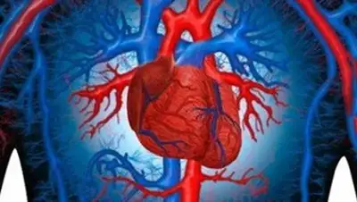 Zakon.kz, фото - Новости Zakon.kz от 30.08.2014 00:19