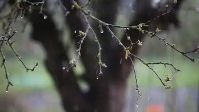 Zakon.kz, фото - Новости Zakon.kz от 02.03.2016 12:00