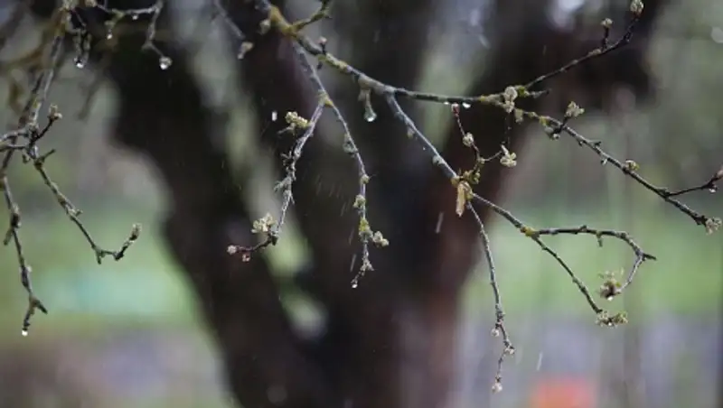 2 марта на большей части Казахстана ожидаются осадки