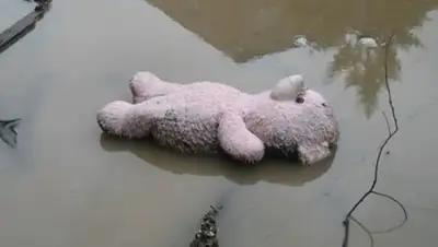 Zakon.kz, фото - Новости Zakon.kz от 31.10.2017 20:16