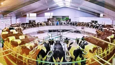 Zakon.kz, фото - Новости Zakon.kz от 21.07.2017 01:05