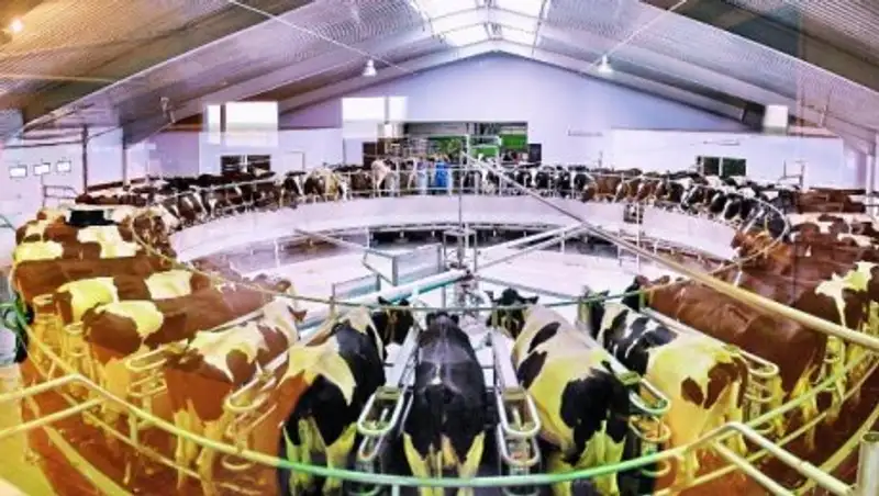 Премьер-министр РК ознакомился с внедрением современных технологий в производство сельхозпродукции в СКО