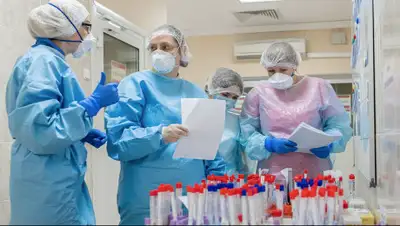 mos.ru, фото - Новости Zakon.kz от 06.06.2020 22:28