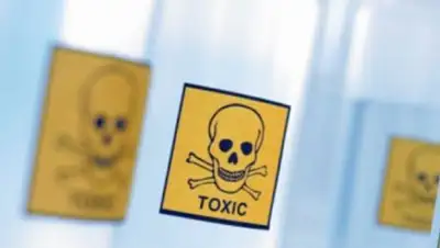 Егемен Қазақстан, фото - Новости Zakon.kz от 01.03.2019 17:27