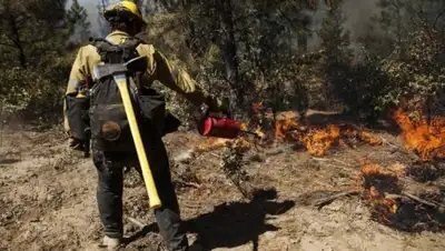 Zakon.kz, фото - Новости Zakon.kz от 02.08.2015 18:05