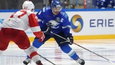 sports.kz, фото - Новости Zakon.kz от 06.12.2017 15:13