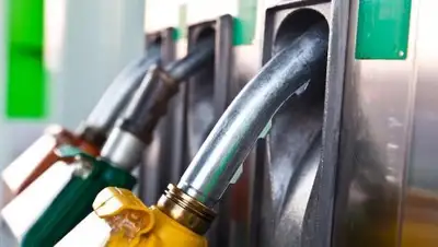 Zakon.kz, фото - Новости Zakon.kz от 09.11.2017 17:47