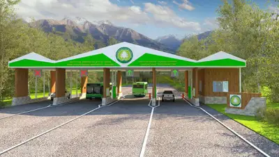 Колеса, фото - Новости Zakon.kz от 19.07.2019 16:20