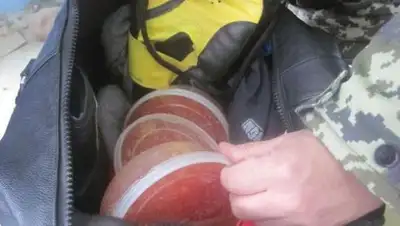 Zakon.kz, фото - Новости Zakon.kz от 29.12.2016 16:56